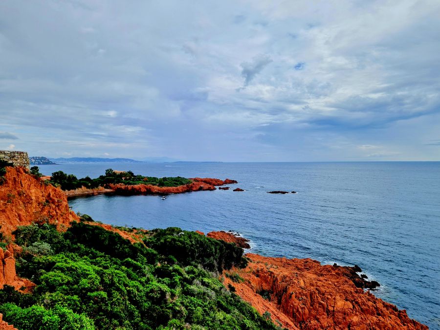 Sous les pins