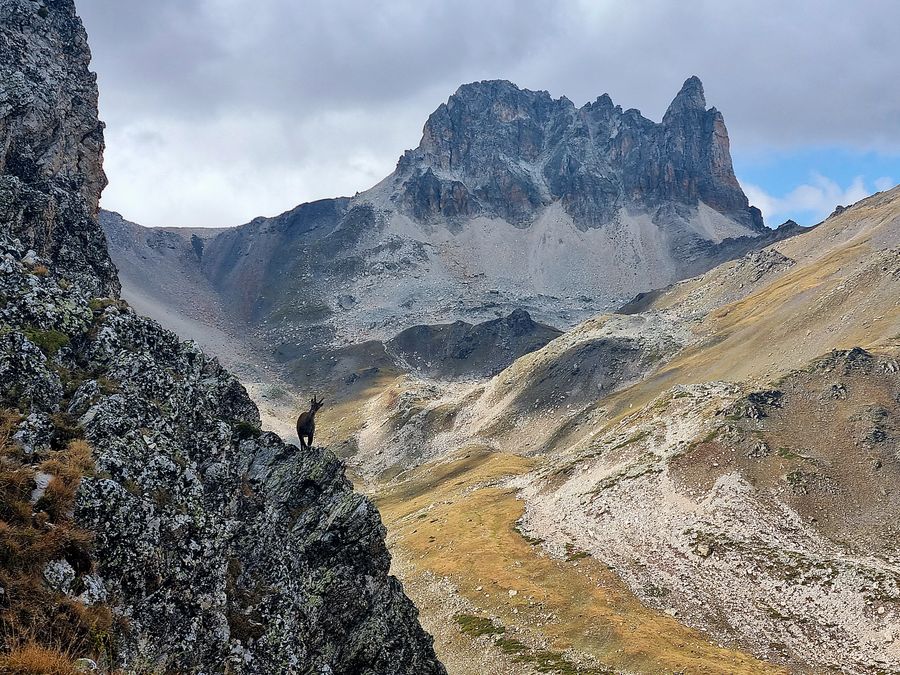 Sentier alpin