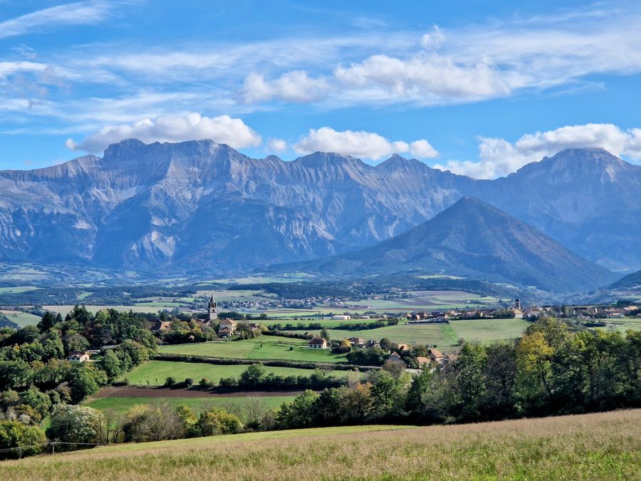 Forêt de hêtres