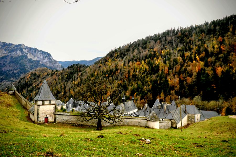 Bruyères