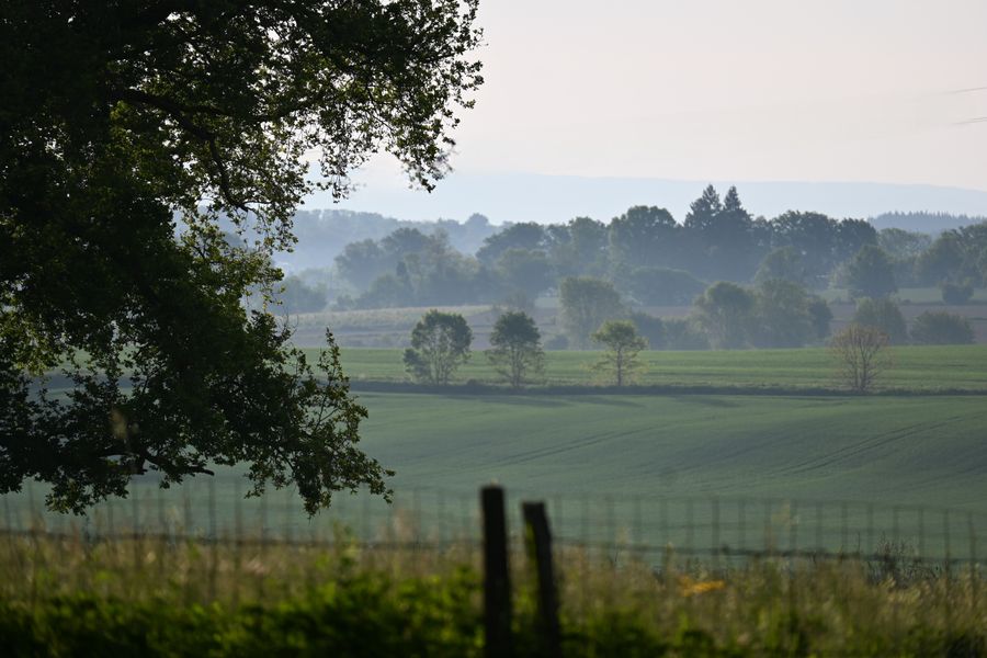 Falaise calcaire
