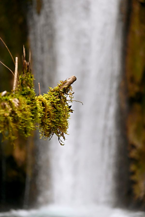 Torrent de montagne